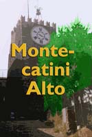 MontecatiniAlto_10