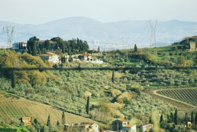 You can see Florence Cathedral from this Vineyard