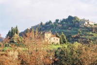 Montepulciano in the sun