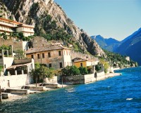 Old Lemon Groves, Limone