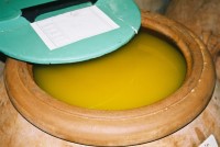 finest extra Virgin Olive Oil di Toscana