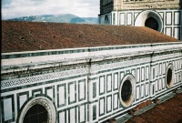 The long roof of the Cathedral