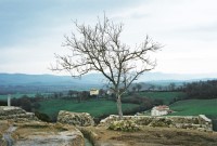 A Tuscan Hill Town in the Sun