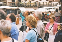 Listening to the Guide in Verona